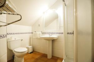 Un baño con inodoro, lavabo y espejo. en Hotel de Montaña Lamiana, en Lamiana