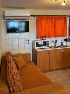 salon z kanapą i kuchenką mikrofalową w obiekcie Just on the Sea 2 w mieście Iraklitsa +16 zdjęć
