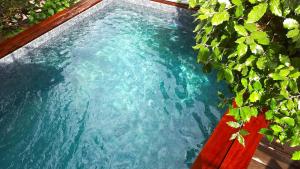 uma piscina com água azul e plantas verdes em A ChiOsella em Corbara