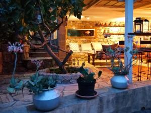 een patio met 3 potplanten op een stenen muur bij A ChiOsella in Corbara