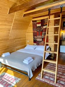 a bedroom with a bunk bed and a ladder at Kazbegi Kuro Cottages in Kazbegi