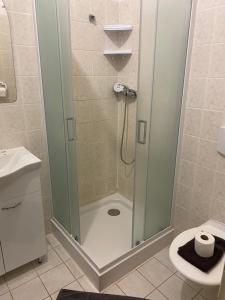 um chuveiro com uma porta de vidro na casa de banho em Penzion Lara em České Budějovice