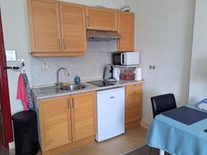 a small kitchen with a sink and a microwave at Sharon's Studio Blue in Maastricht