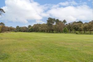 Zaplecze golfowe tego apartamentu lub w pobliżu