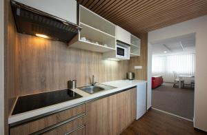 a kitchen with a sink and a counter top at Residence Šírava *** in Kaluža