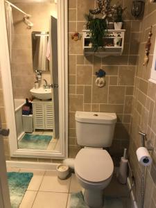 a small bathroom with a toilet and a shower at Stoddart House in Newcastle upon Tyne