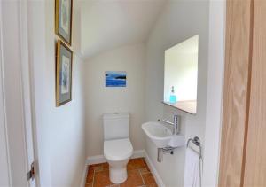 a bathroom with a white toilet and a sink at Clematis Cottage in Gilling East