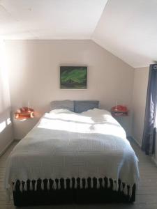a bedroom with a large white bed in a room at Beautiful Lavangsnes, sea , private beach, boat. 