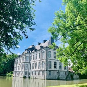 a large building in the middle of a river at Château de Vierset in Vierset-Barse