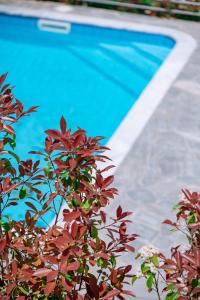 Piscina di Danai & Palm Residential Complexes o nelle vicinanze