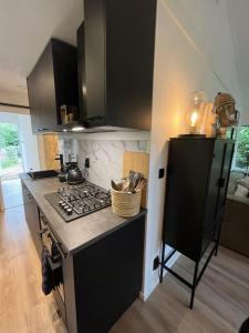 een keuken met een fornuis top oven naast een koelkast bij Wellness Cabin Nulytø 24 in Rheezerveen