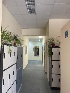 Fotografia z galérie ubytovania Hostel POPLAWOK vo Varšave
