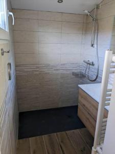 y baño con ducha y suelo de madera. en La petite Rascasse, Appartement avec Terrasse ensoleillée en Rayol-Canadel-sur-Mer
