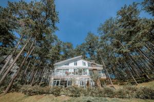 a house in the middle of a forest of trees at Dahlia Dalat in Xuan An