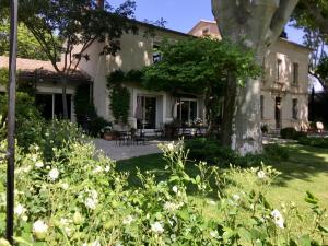 una casa con un árbol en el patio en mas des pampres, en Cabannes