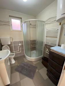uma casa de banho com um chuveiro, um WC e um lavatório. em Apartman Drina em Berilovac