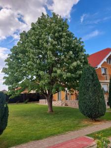 a tree in a yard in front of a house at Casuta cu Tei in Oradea