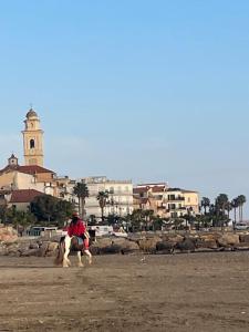 聖托·斯特凡諾·阿爾馬爾的住宿－Brezza Marina，骑马者