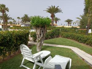 Zahrada ubytování BUNGALOW JARDÍN CENTRICO PLAYA INGLES