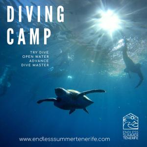 Fotografie z fotogalerie ubytování Endless Summer House v destinaci Adeje