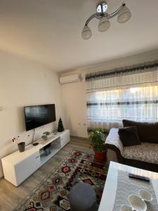 uma sala de estar com um sofá e uma televisão de ecrã plano em Apartman Drina em Berilovac