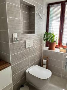bagno con servizi igienici bianchi e piante di Maison de village a Messery