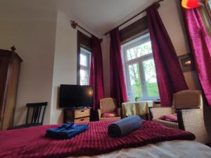 TV a/nebo společenská místnost v ubytování Villa Petterhof
