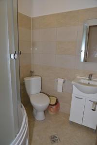 a bathroom with a toilet and a sink at Pensiunea Class in Sălişte +57 photos