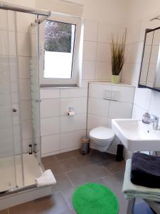 W łazience znajduje się toaleta, umywalka i prysznic. w obiekcie FeWo Greiwe w mieście Telgte