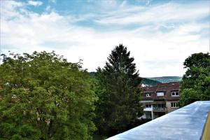 Aussicht vom Dach eines Gebäudes mit Bäumen in der Unterkunft Heiligenbergblick in Heidelberg