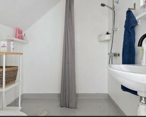 bagno con lavandino e tenda doccia di Ferienhaus Alfred a Ryd