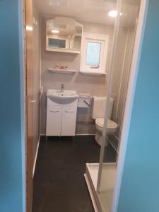 a small bathroom with a toilet and a sink at Zilver'n Plekkie in Zeyen +32 photos