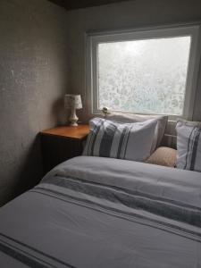 1 Schlafzimmer mit 2 Betten und einem Fenster in der Unterkunft Zilver'n Plekkie in Zeyen