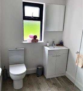 a bathroom with a toilet and a sink and a window at Peg and Barrys Cottage near Fenit in Fenit