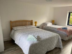 a bedroom with two beds and a window at Peg and Barrys Cottage near Fenit in Fenit