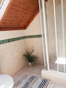 a bathroom with a shower and a toilet and a rug at 4 bedroomed holiday home close to the beach in Waterville