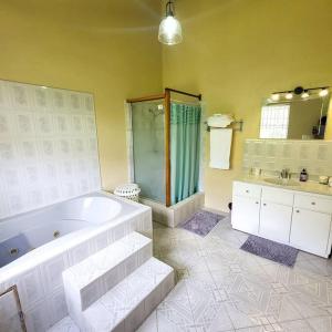 W łazience znajduje się wanna, prysznic i umywalka. w obiekcie Venance Grand Yer Top Floor Overlooking Rodney Bay w mieście Gros Islet