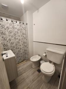 W łazience znajduje się toaleta, umywalka i prysznic. w obiekcie DPTO Catedralle Alta Cordoba PB w Córdobie