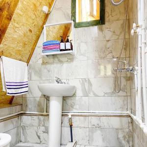 W łazience znajduje się umywalka i prysznic. w obiekcie Eco kutak 2 w mieście Mojkovac