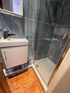 La salle de bains est pourvue d'une douche, de toilettes et d'un lavabo. dans l'établissement Central London Apartment - H, à Londres