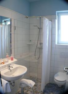 ein Bad mit einer Dusche, einem Waschbecken und einem WC in der Unterkunft Hotel Garni - Haus Gemmer in Coburg