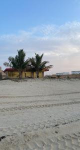 une maison sur une plage avec des palmiers en arrière-plan dans l'établissement شاليه على البحر UAE, Abu Dhabi, à Baţīn