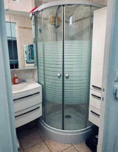 Koupelna v ubytování Appartement avec jardin « Le Méridien »