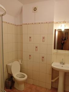 a bathroom with a toilet and a sink at Zajazd Reczyn - Nowy Reczyn 16 