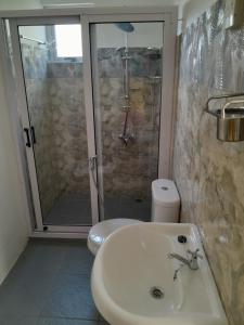 a bathroom with a shower and a sink and a toilet at M Tower Appartment in Post of Flacq