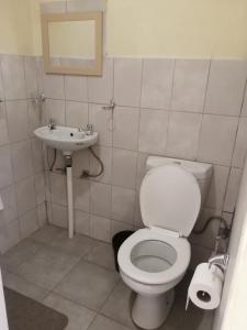 a bathroom with a toilet and a sink at Bambi Lodge in Groutfontein