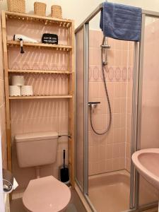 ヴァンガーオーゲにあるAnton-Gunther-Str 16のバスルーム(シャワー、トイレ、シンク付)
