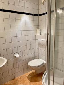 ヴァンガーオーゲにあるHaus Fregatte Whg 1のバスルーム(トイレ、洗面台、シャワー付)