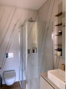 uma casa de banho com um chuveiro, um WC e um lavatório. em LAKE em Lugano
