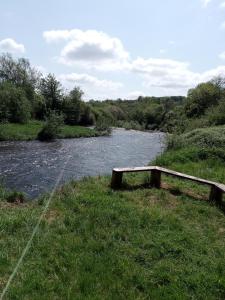 a bench sitting in the grass next to a river at The Rock Bar B&B in Kilkenny